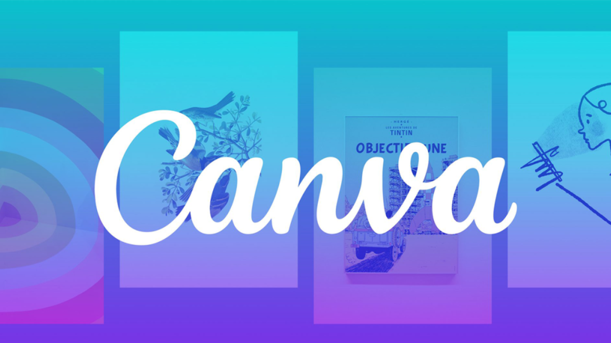 Canva Lisansı